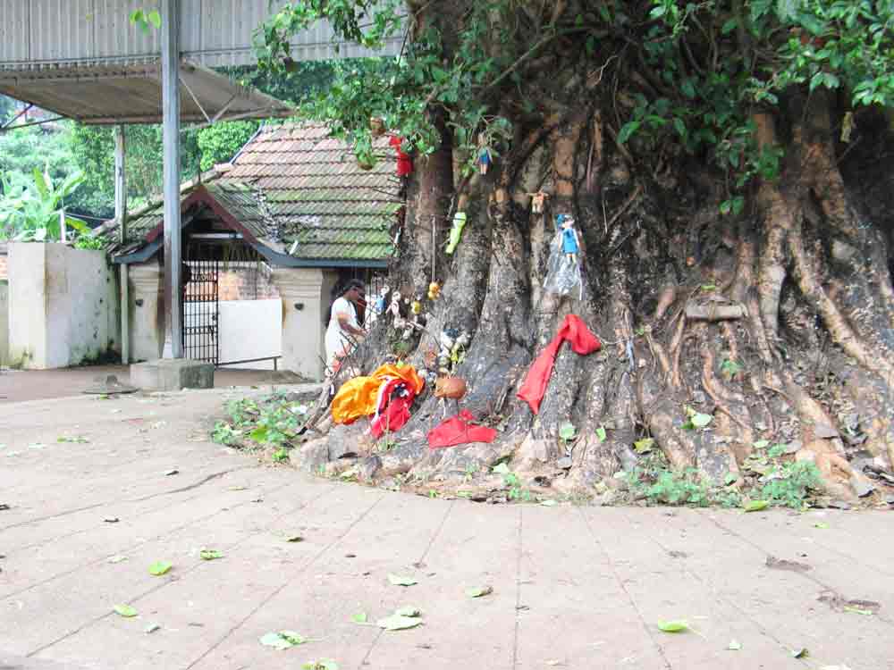 Chottanikkara Devi Temple